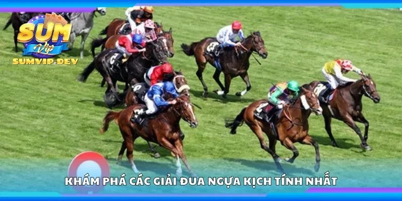 Khám phá các giải đua ngựa kịch tính nhất